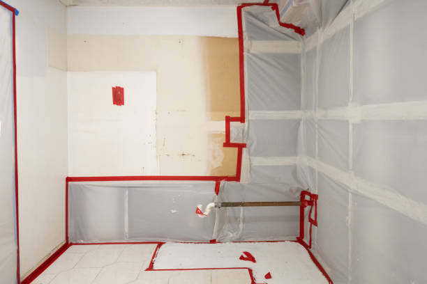 Best Post-Remediation Verification Testing  in Lincoln Village, OH